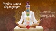 Chakras - Corpos humanos - Autoconhecimento - Catálogo de artigos - Amor incondicional