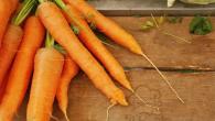 При якій температурі сушити моркву