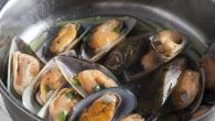 Мидии – полезные свойства, польза и вред съедобных моллюсков