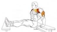 แบบฝึกหัด Triceps ขั้นพื้นฐาน แบบฝึกหัด Triceps ที่ดีที่สุดสำหรับผู้ชาย