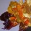 Leģendārais īrisa zieds (īriss) Kāds ir cits īrisa zieda nosaukums